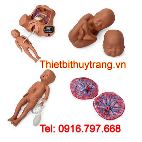 MÔ HÌNH THỰC HÀNH KHÁM THAI NGHE TIM THAI VÀ ĐỠ ĐẺ S500.200