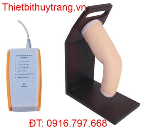 MÔ HÌNH ĐÀO TẠO TIÊM NỘI KHỚP KHUỶU TAY CK20134  