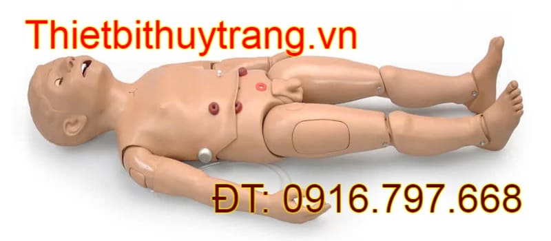 MÔ HÌNH ĐIỀU DƯỠNG CHĂM SÓC TRẺ EM ĐA NĂNG S157 GAUMARD