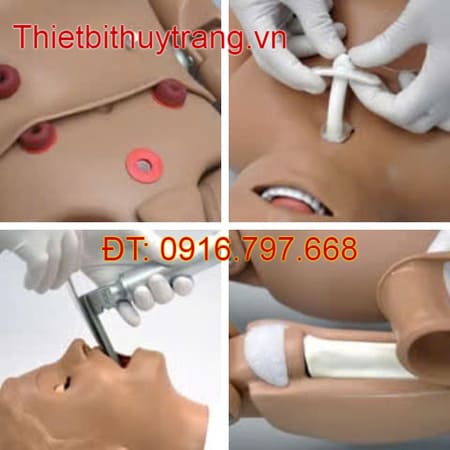 MÔ HÌNH ĐIỀU DƯỠNG CHĂM SÓC TRẺ EM ĐA NĂNG S157 GAUMARD