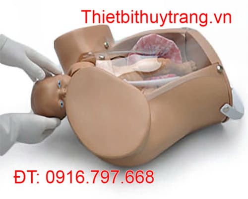 MÔ HÌNH THỰC HÀNH ĐỠ ĐẺ S500 GAUMARD HOA KỲ