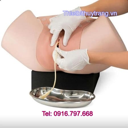 Mô Hình Khám Phụ Khoa Và Phết Tế Bào Cổ Tử Cung 3B 1021592