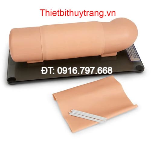 MÔ HÌNH THỰC HÀNH CẤY GHÉP CÁNH TAY S519.PK GAUMARD