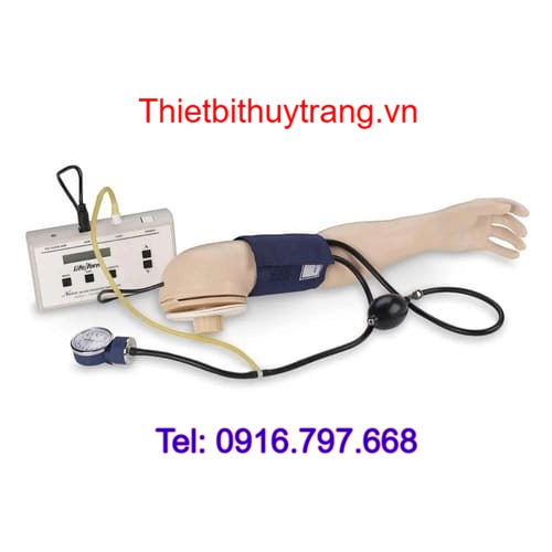 Mô Hình Thực Hành Đo Huyết Áp Và Tiêm Truyền Cánh Tay LF04079 Nasco