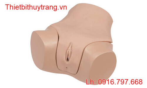 MÔ HÌNH THỰC HÀNH KHÁM PHỤ KHOA LM-110 KOKEN