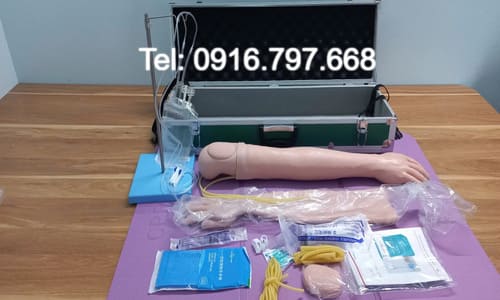 Mô Hình Cánh Tay Tiêm Truyền Đa Năng Cao Cấp GD/HS2