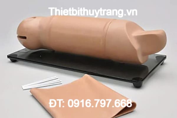 MÔ HÌNH THỰC HÀNH CẤY GHÉP CÁNH TAY S519.PK GAUMARD