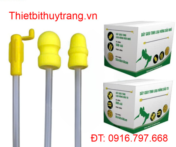QUE PHỐI NÔNG ĐẦU TO CHO HEO
