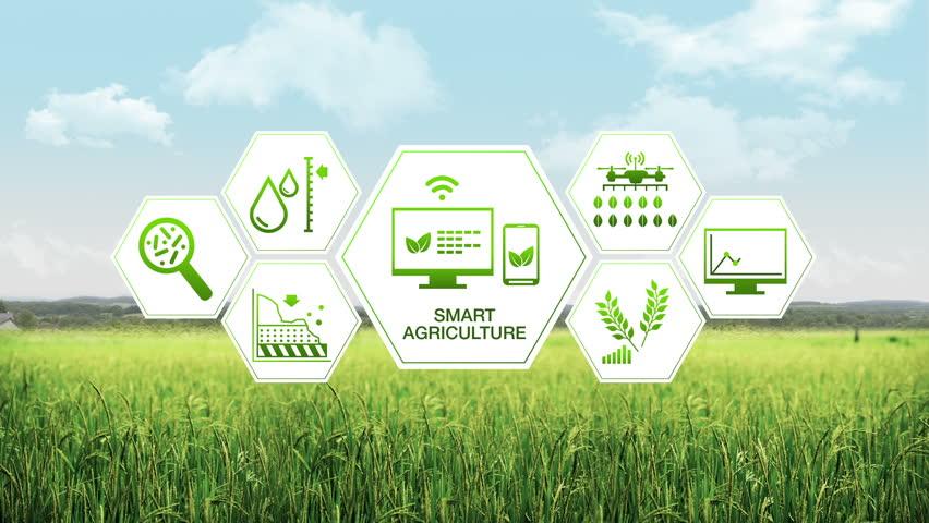 Giải pháp AI/IoT trong nông nghiệp