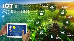 Giải pháp AI/IoT trong nông nghiệp