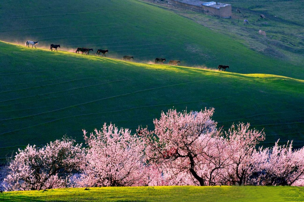 Du lịch Trung Quốc [Tân Cương Con Đường Tơ Lụa]