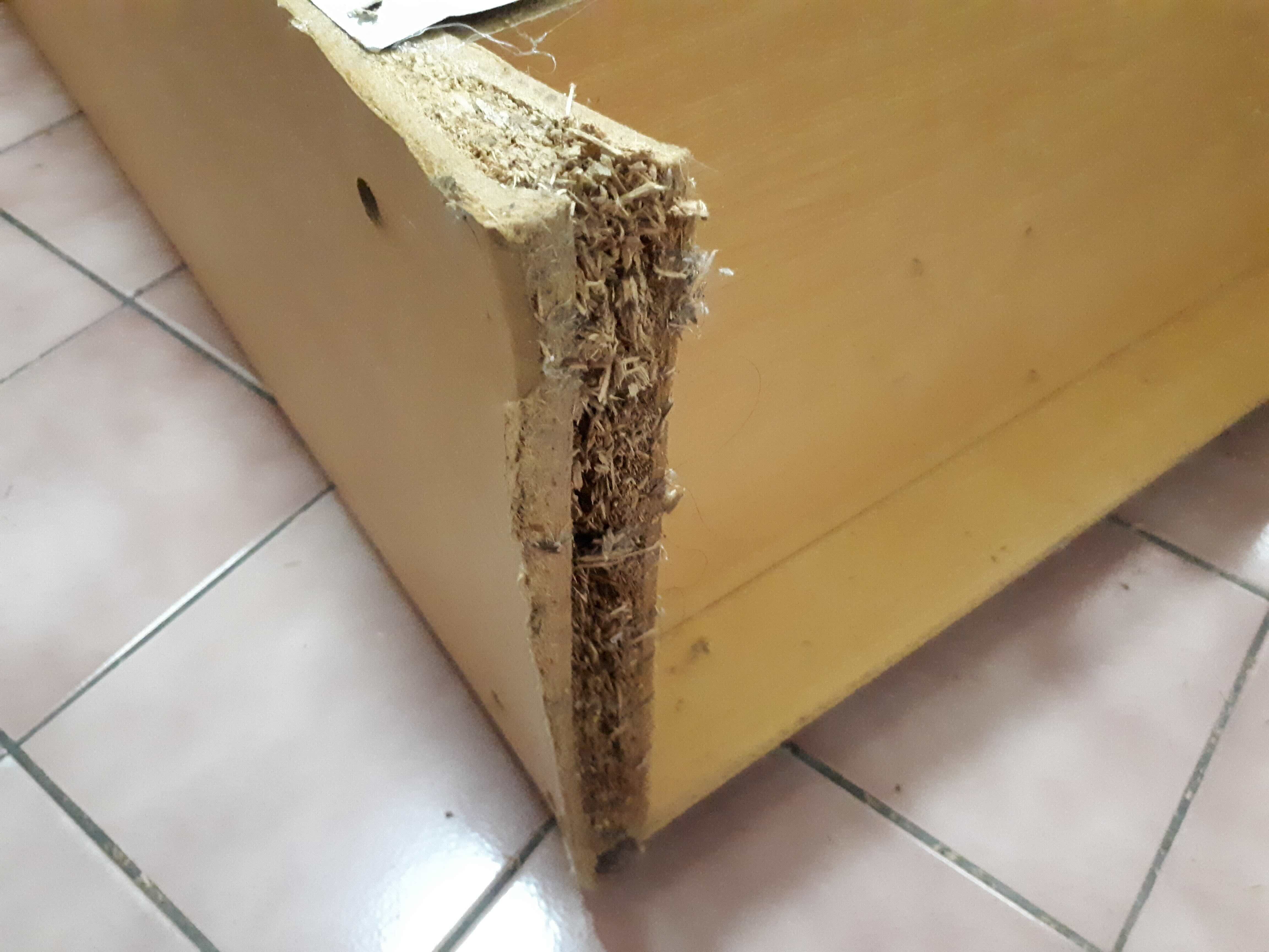 Gỗ công nghiệp không rõ nguồn gốc — Những rủi ro tiềm ẩn