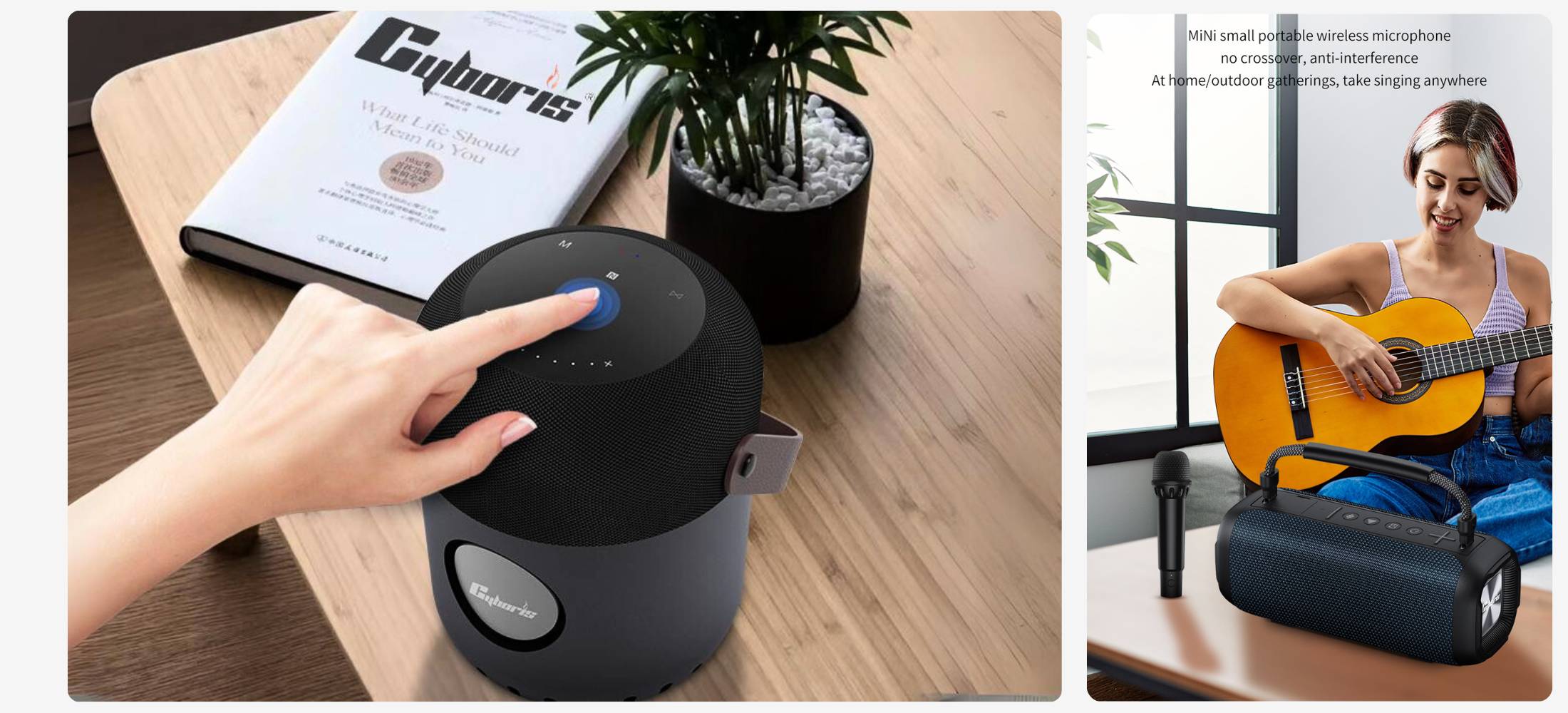 CYBORIS – Loa Siêu Bass Cao Cấp, Tất Cả Những Điều Bạn Cần Biết