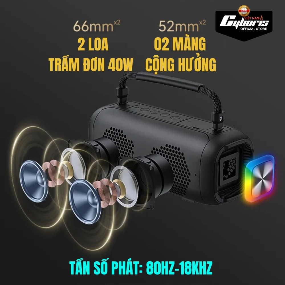 Loa Bluetooth Karaoke Cyboris-T12 80W