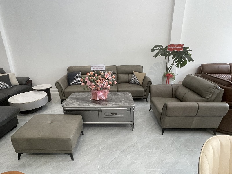 Ghế Sofa Phòng Khách 3-1-Đôn Da Ý 1013T