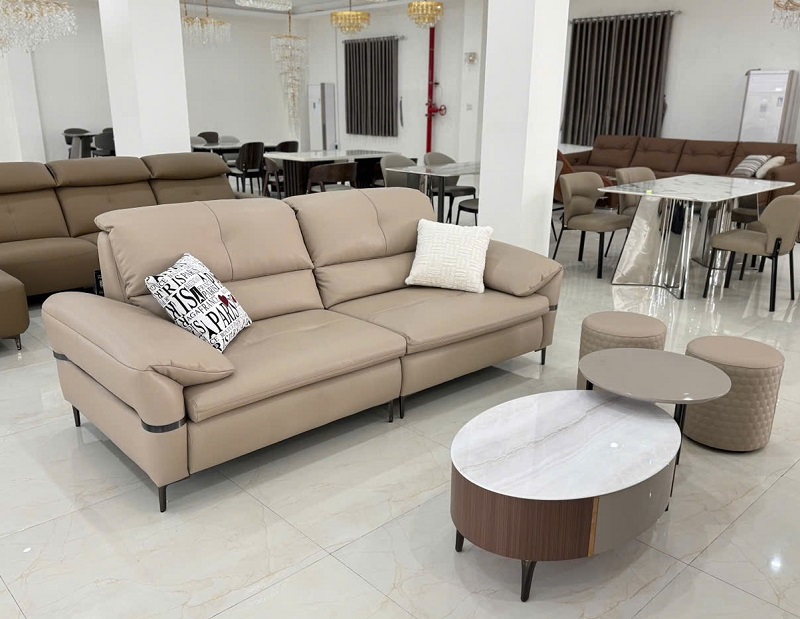 Sofa Bọc Da Nhập Khẩu Đẹp 1118T