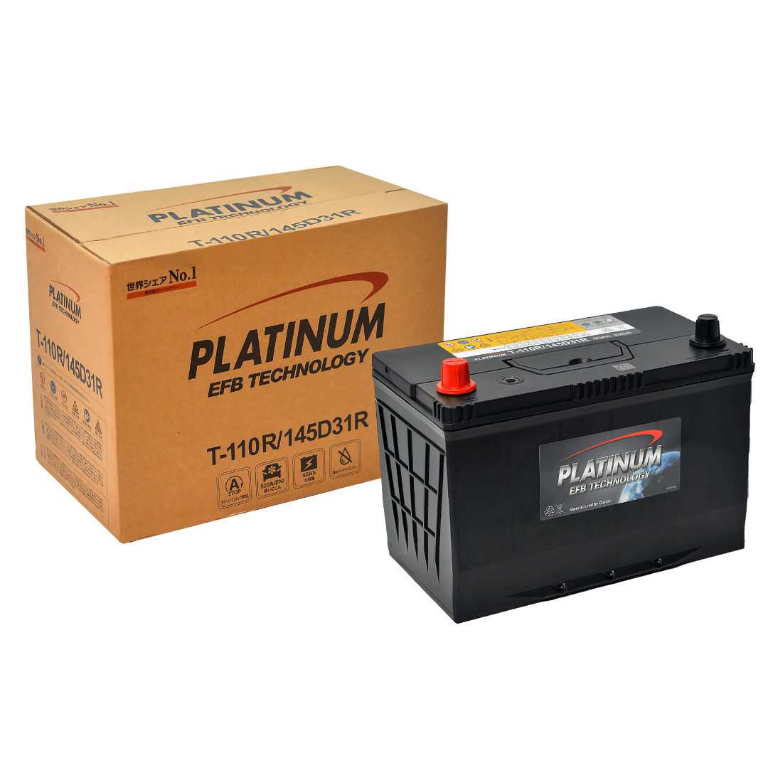 ac-quy-platinum-145d31r