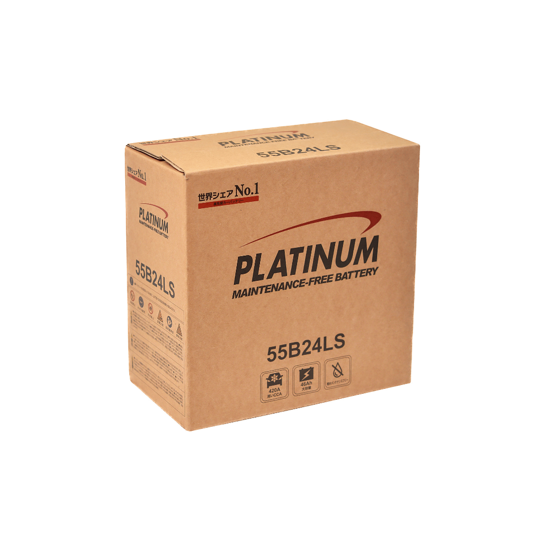 ac-quy-platinum-55b24ls