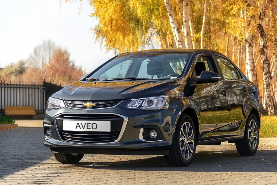 ac-quy-xe-chevrolet-aveo