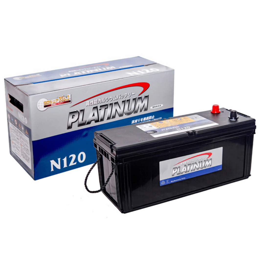 ac-quy-platinum-n120