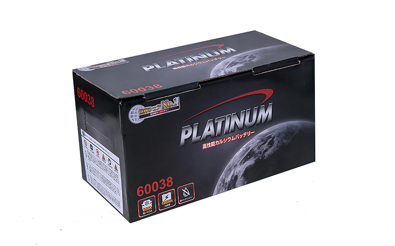 Ắc quy Platinum 60038