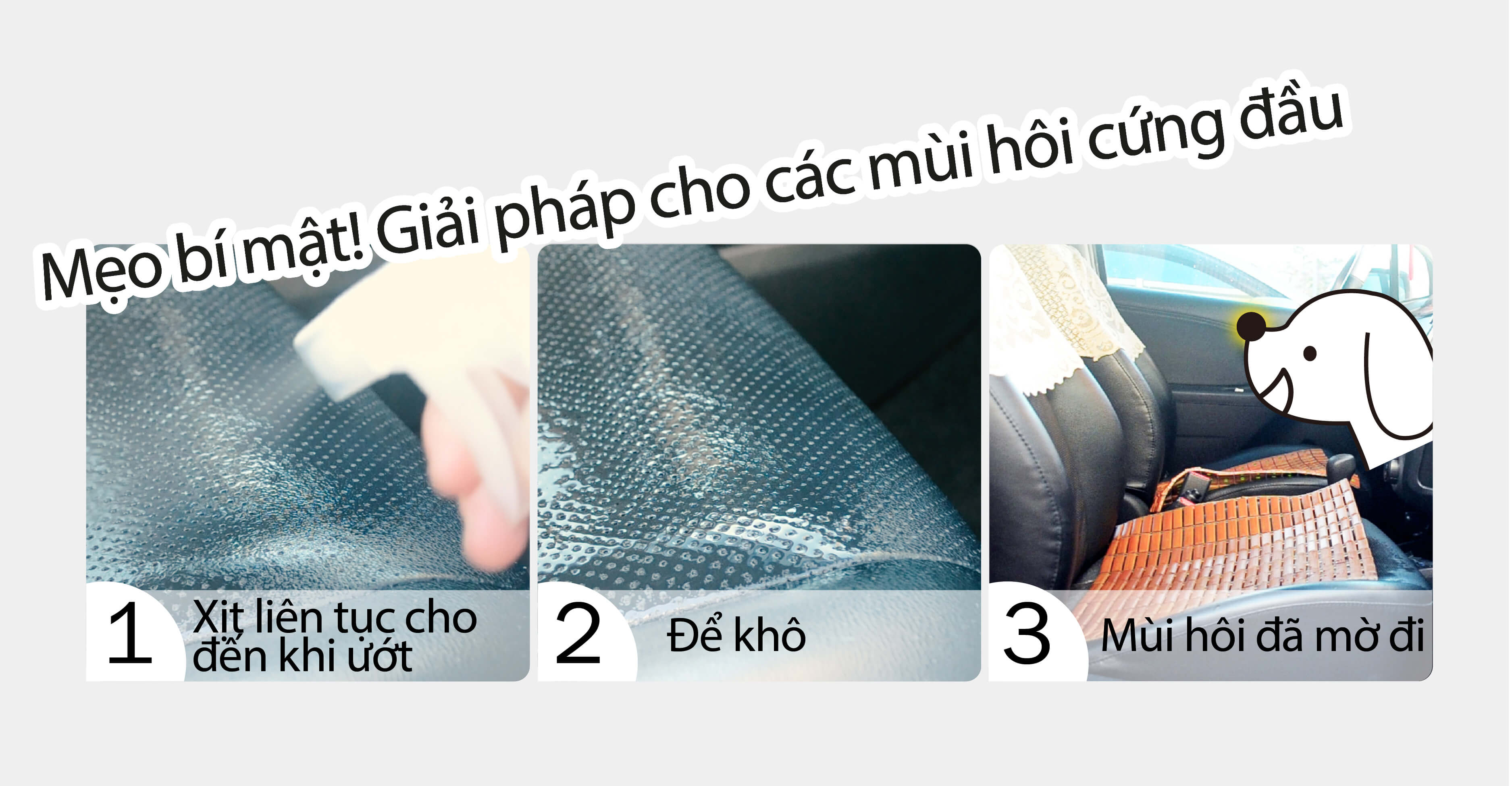 Các bước