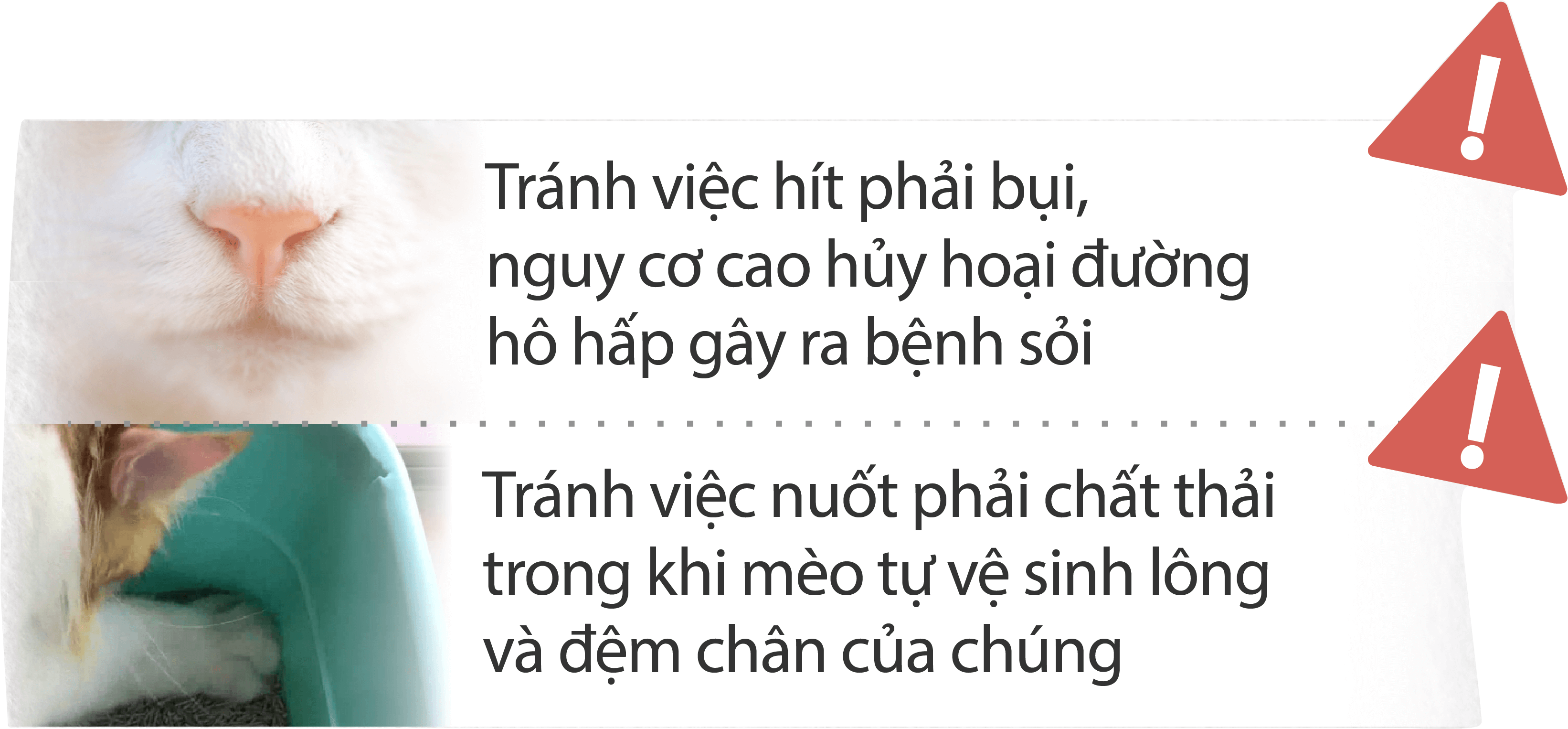 Tránh việc hít phải bụi