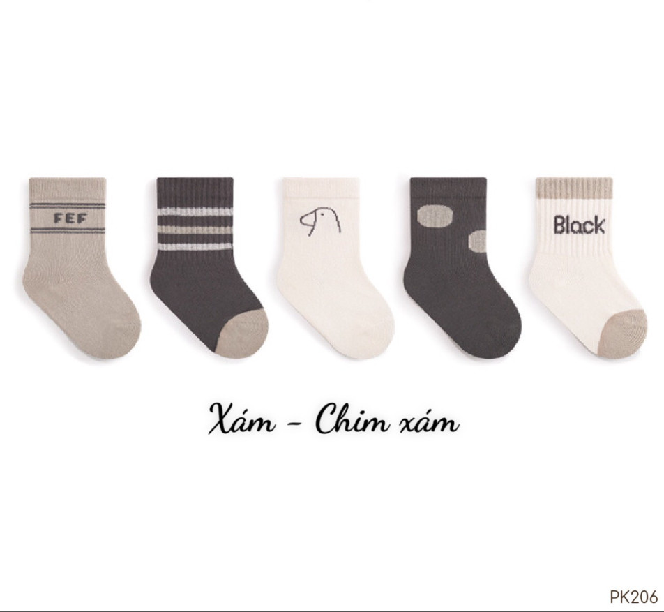 OBB SET TẤT 5 ĐÔI PHỐI SỌC(M-L)