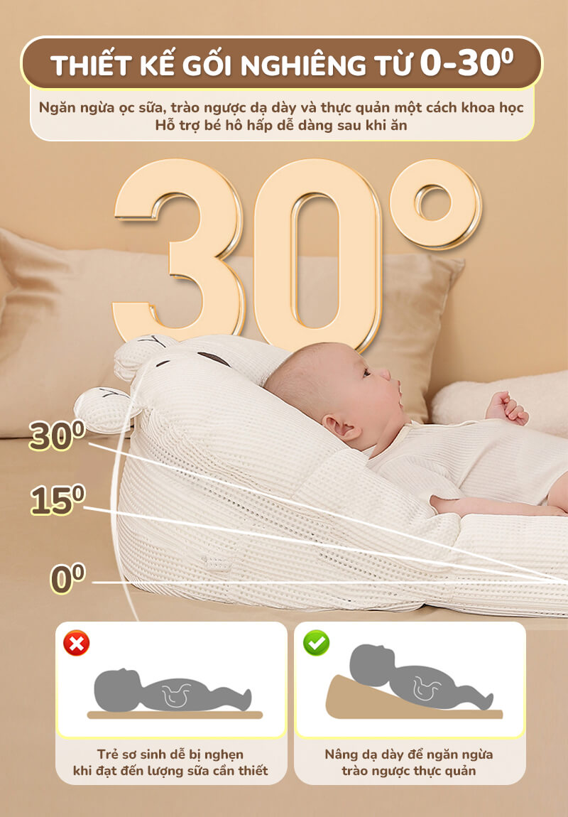 CHILUX - GỐI CHỐNG TRÀO NGƯỢC GẤU TRẮNG