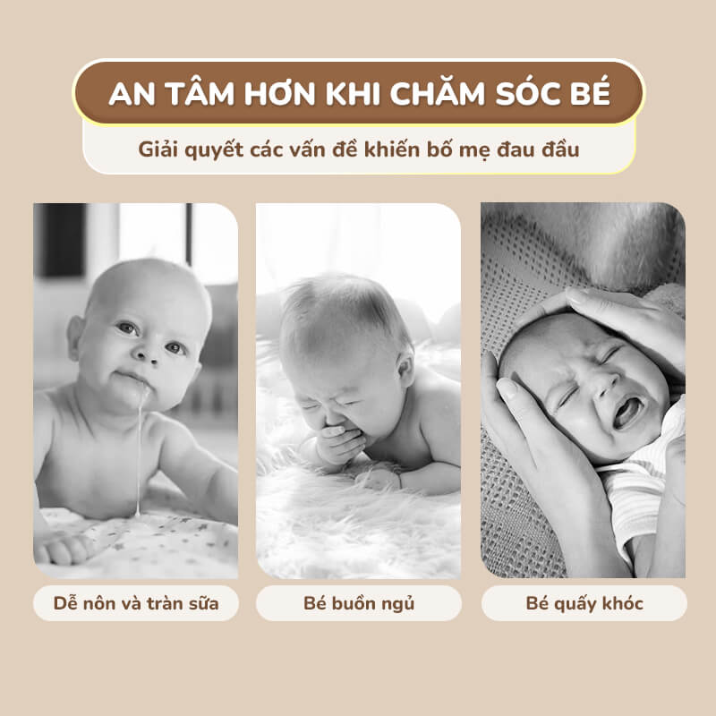CHILUX - GỐI CHỐNG TRÀO NGƯỢC GẤU TRẮNG