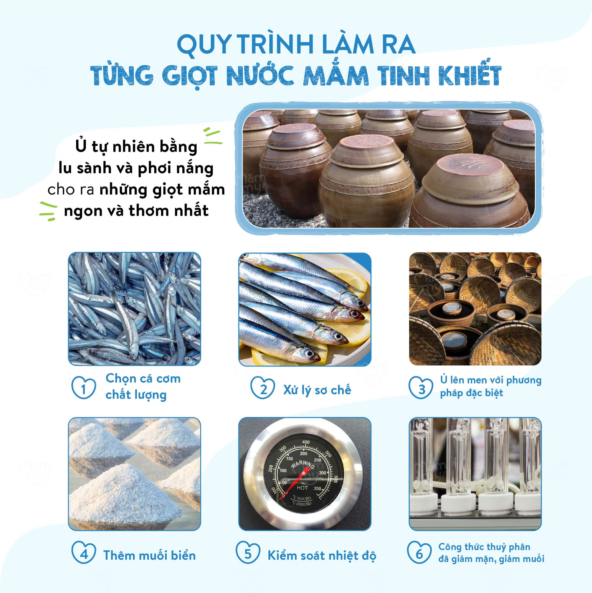 MAMMY - 1Y+NƯỚC MẮM GIẢM MUỐI