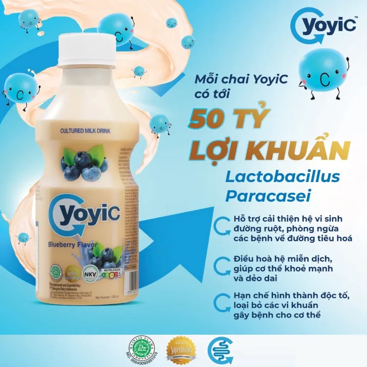 YOYIC - 1Y+SỮA CHUA UỐNG