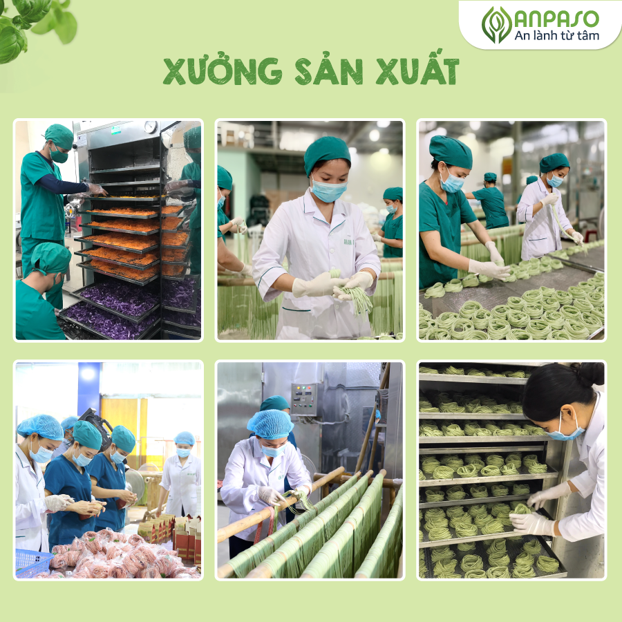 ANPASO - 6M+MÌ RAU CỦ