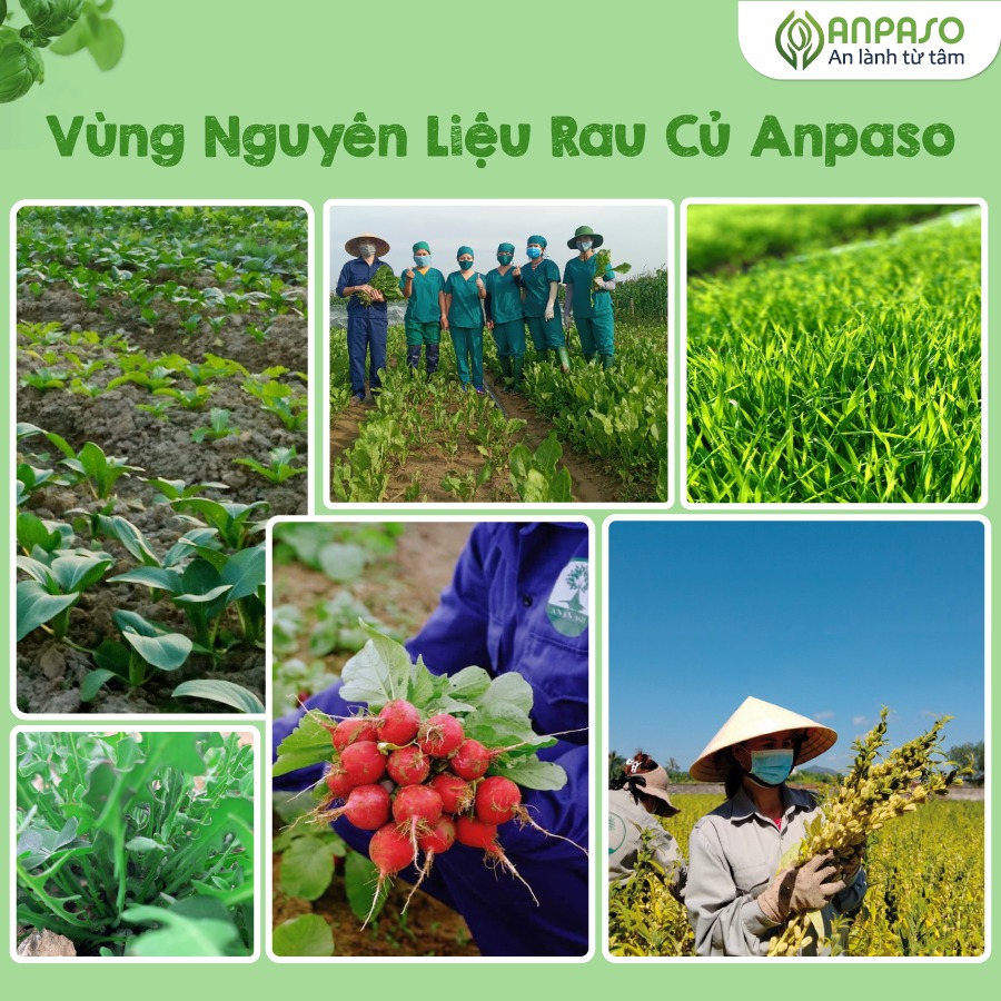 ANPASO - 6M+NUI ĂN DẶM