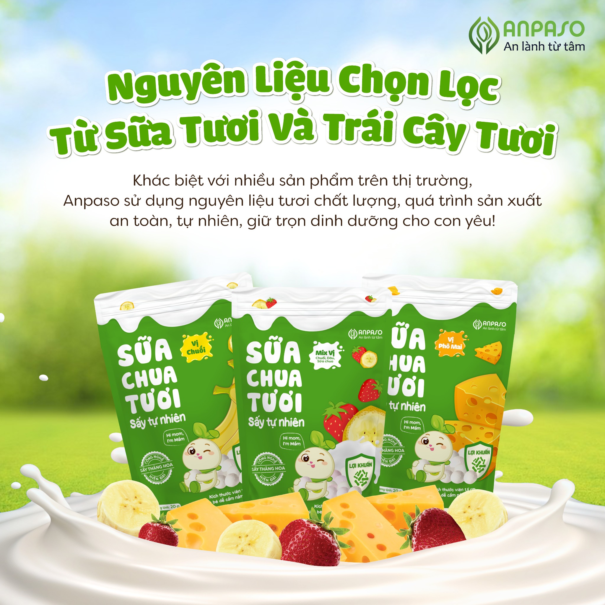 ANPASO - 8M+SỮA CHUA TƯƠI SẤY