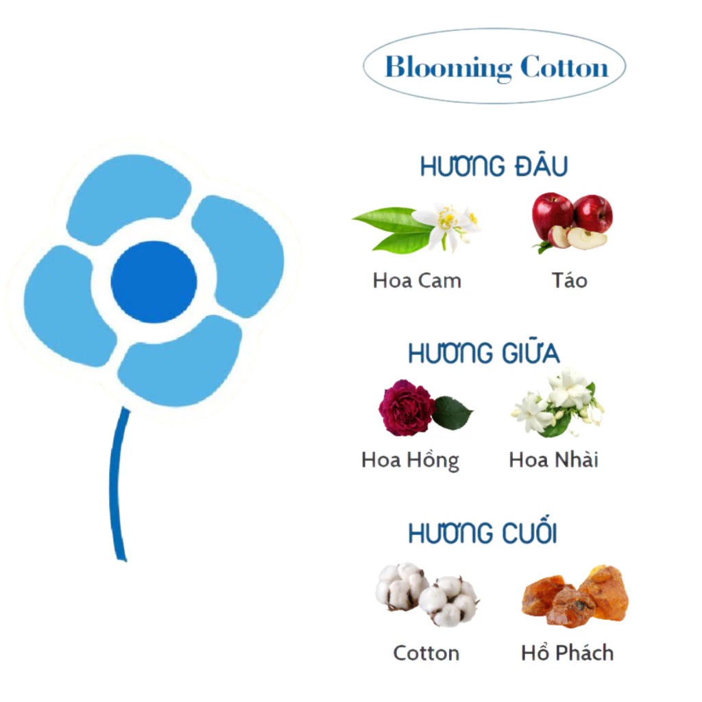 ATONO - VIÊN GIẶT QUẦN ÁO