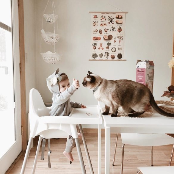 IKEA - GHẾ ĂN DẶM CHÍNH HÃNG THỤY ĐIỂN