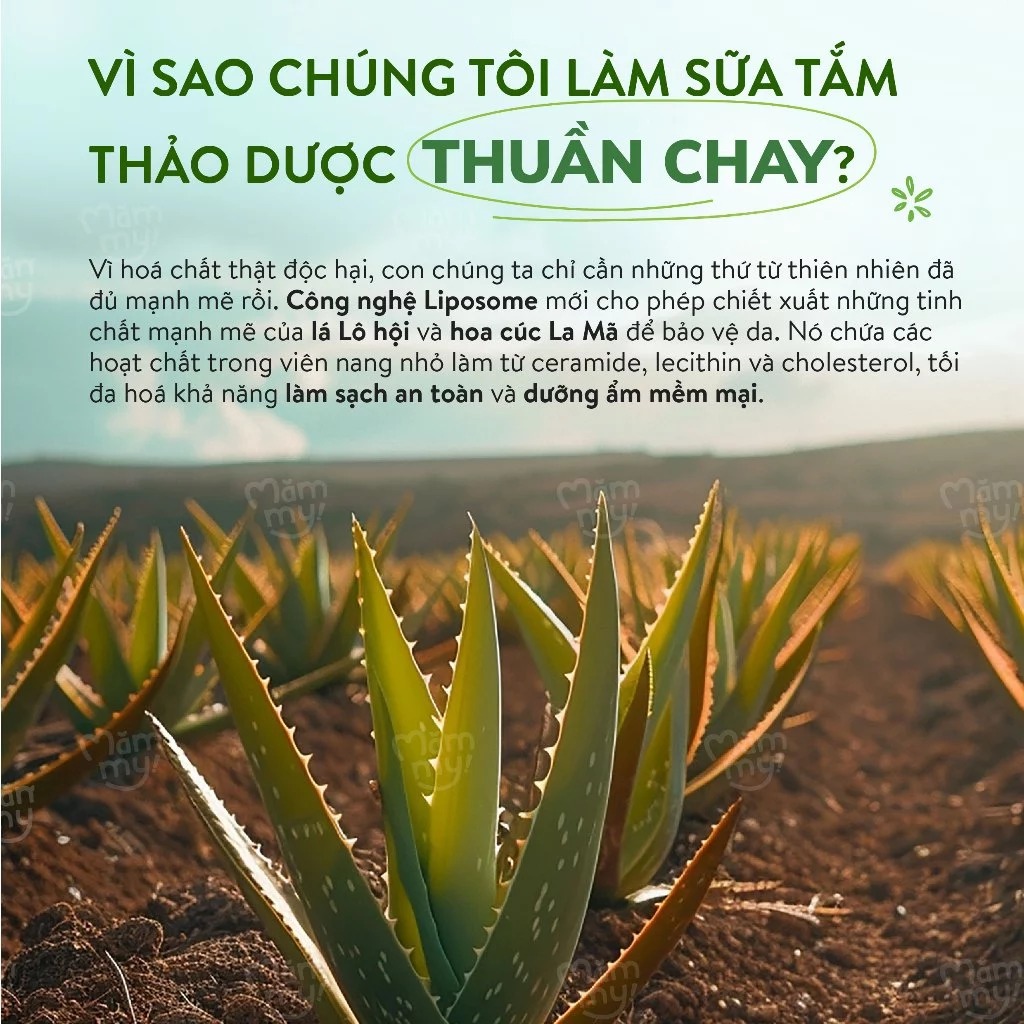 MAMMY - SỮA TẮM GỘI TOÀN THÂN