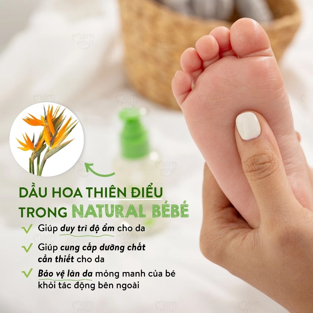 MAMMY - DẦU MÁT XA GIẢM CHƯỚNG BỤNG