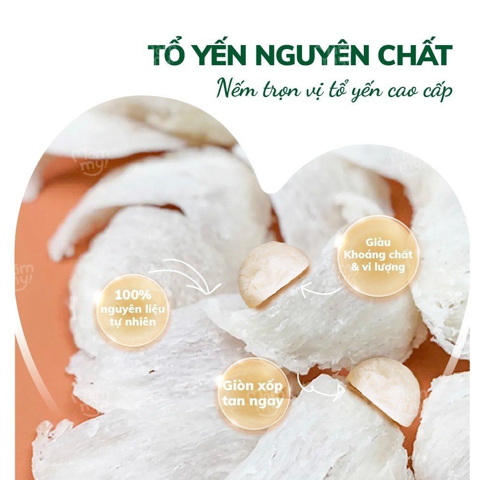 MAMMY - 6M+SỮA CHUA SẤY LẠNH
