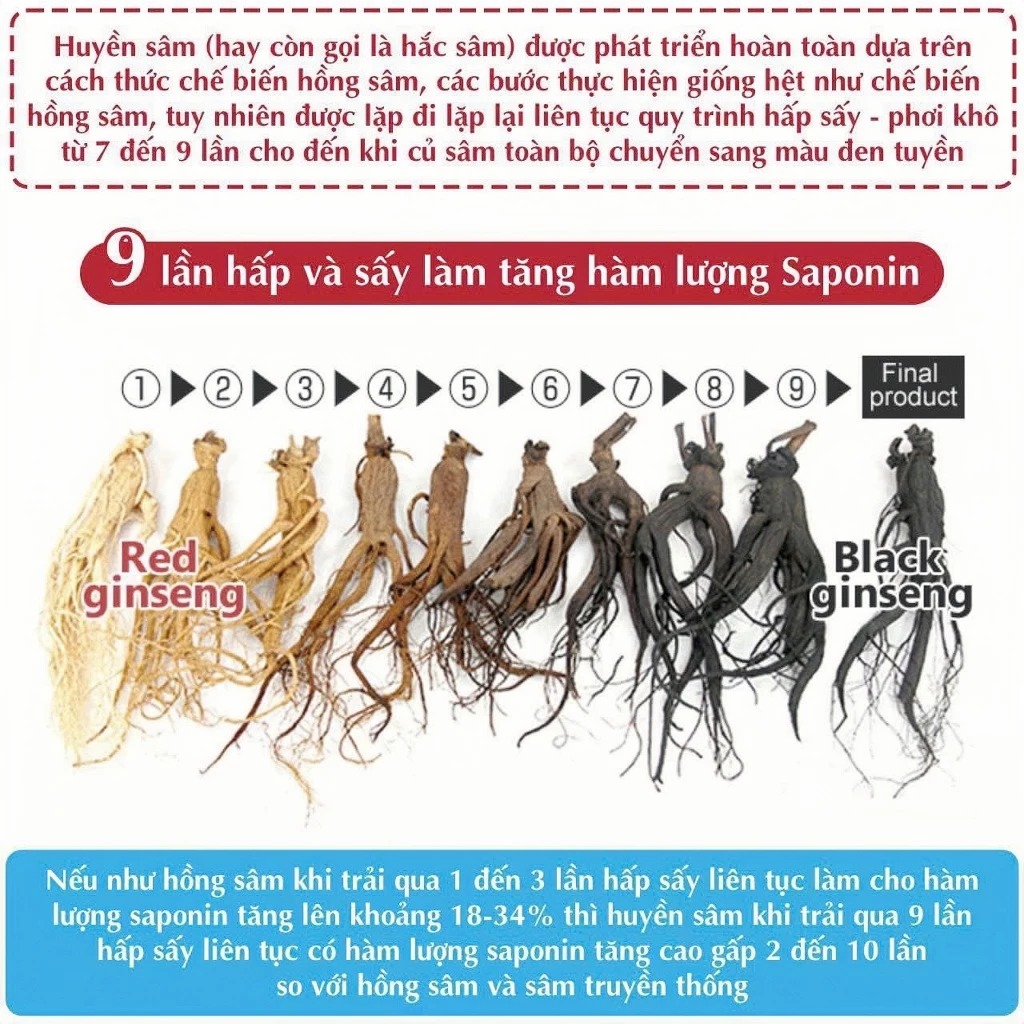 ONE ONE - 1Y+HUYỀN SÂM HÀN QUỐC