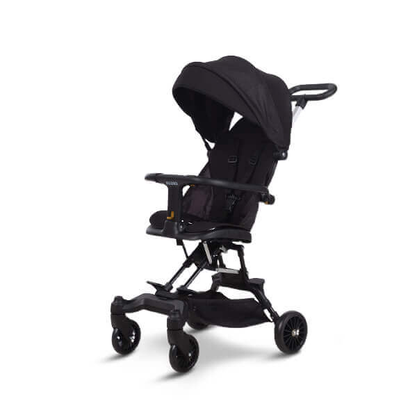 CHILUX - XE ĐẨY GẤP GỌN M55