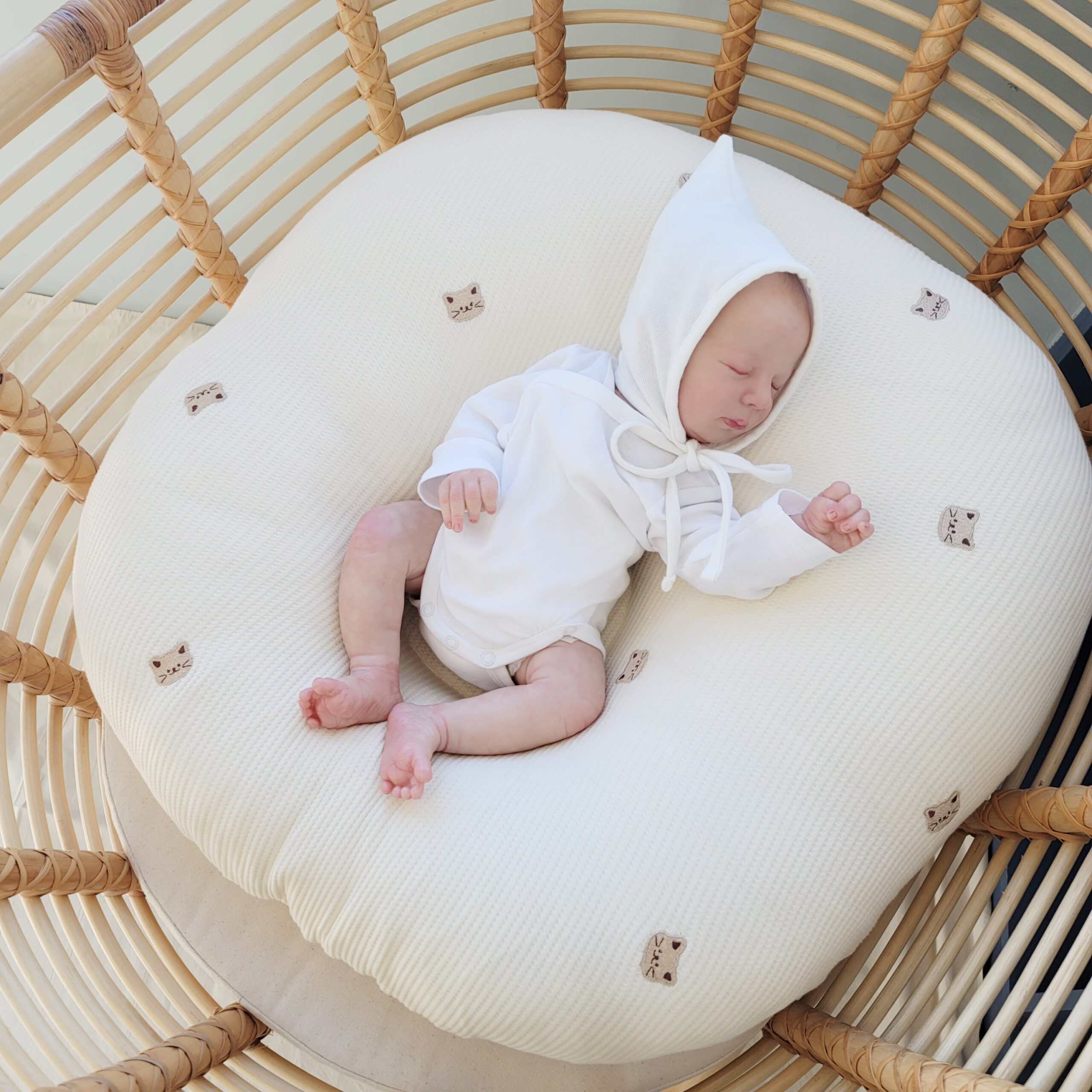 ROTOTO BEBE - GỐI CHỐNG TRÀO AIRMESH WAFFLE PHIÊN BẢN MÈO GIỚI HẠN