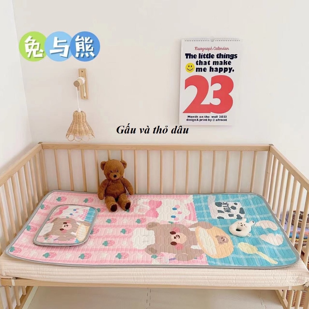 KK - CHIẾU ĐIỀU HÒA CAO SU KÈM GỐI