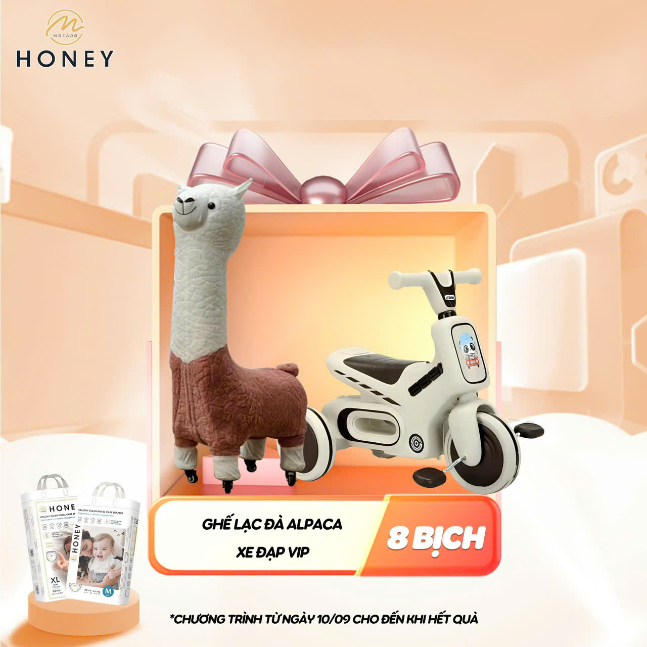 HONEY - QUÀ TẶNG