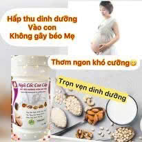 LD - NGŨ CỐC CHO MẸ BẦU