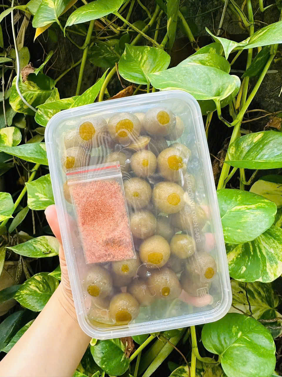 TN - Ô MAI SẤU BAO TỬ GIÒN CAY