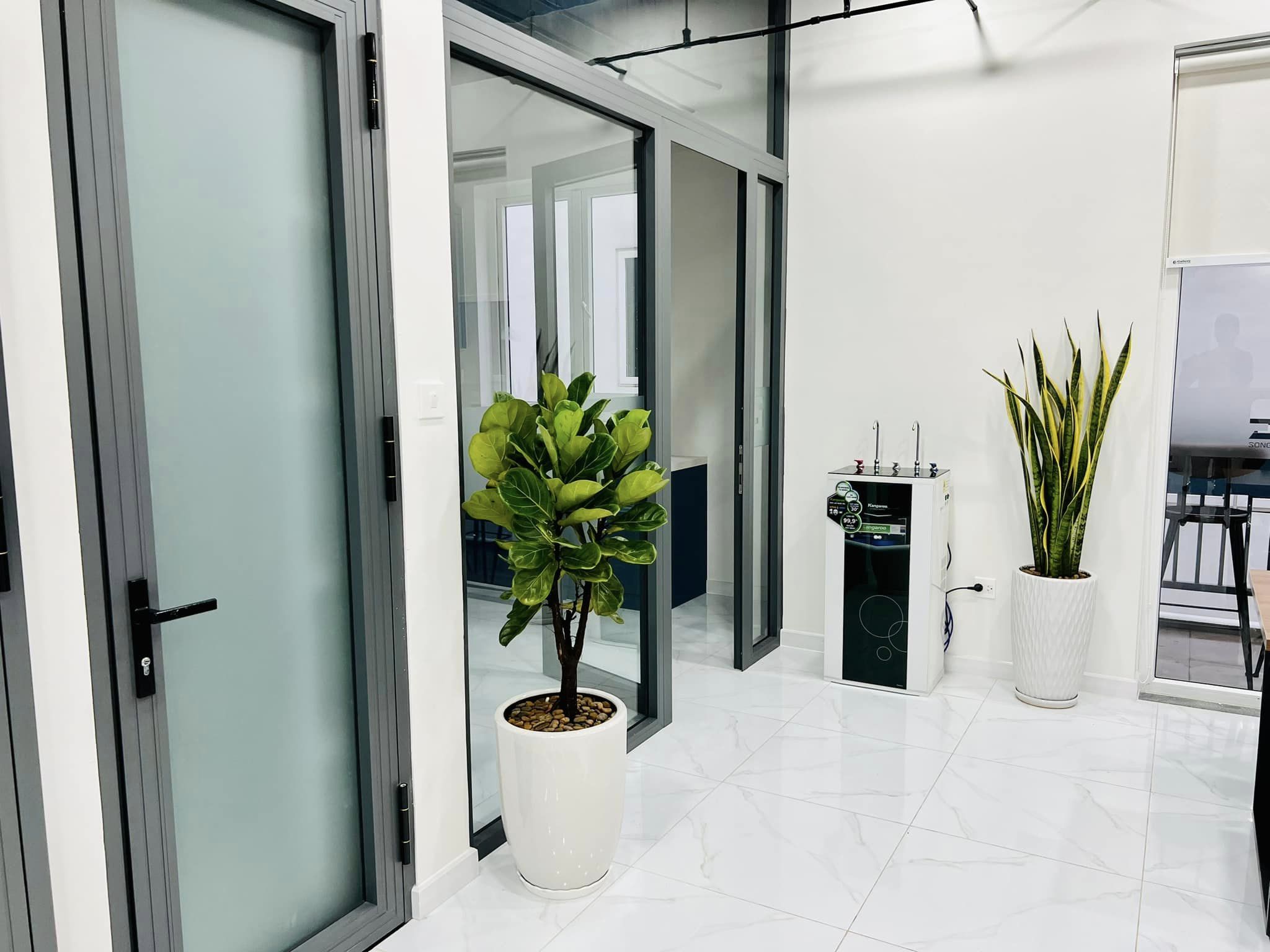 DỊCH VỤ THUÊ CÂY XANH