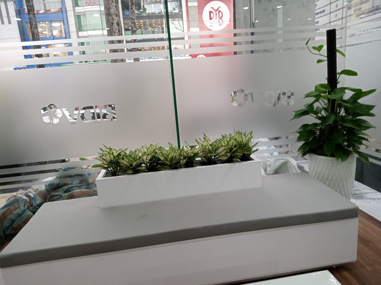 DỊCH VỤ THUÊ CÂY XANH