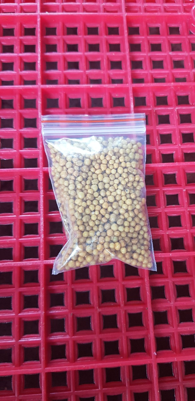 Phân Tan Chậm 50g Hạt Vàng Oscomote